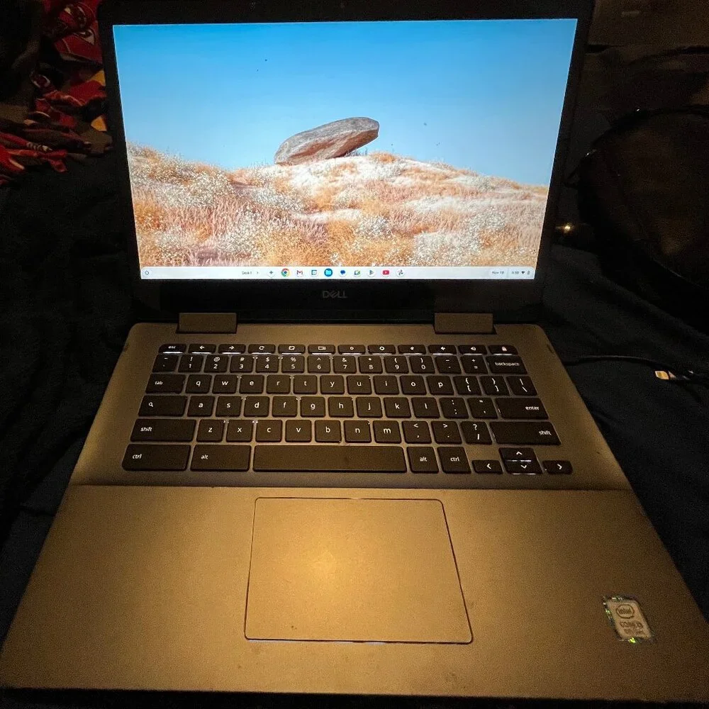 Dell Chromebook 11 3100